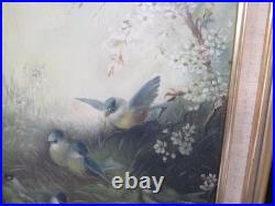 Ornithology Bird Studies on Porcelain Circa 1870