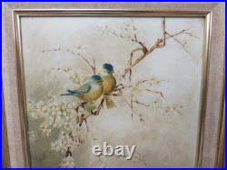 Ornithology Bird Studies on Porcelain Circa 1870