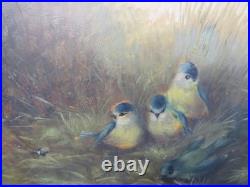 Ornithology Bird Studies on Porcelain Circa 1870