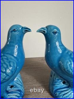 Pair Antique Chinese Pigeon Dove Bird Turquoise Glazed Porcelain Model Figurines