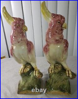 Pair Antique Czechoslovakia Royal Dux Parrot Cockatoo Signed Statue 16 3/4 inch