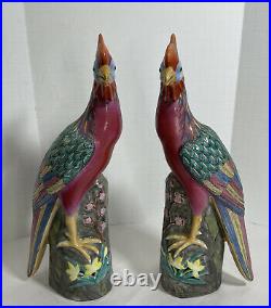 Pair Chinese Antique Porcelain Famille Rose Phoenix Birds 12 Marked