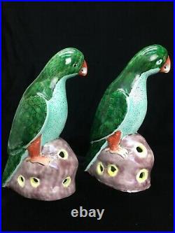 Pair Chinese Export famille verte Porcelain pottery Parrots birds figures green