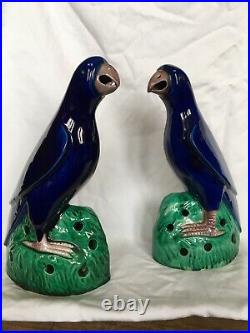 Pair Chinese Qing Dynasty porcelain Sapphire Famille Verte parrots Birds