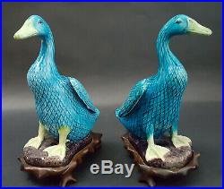 Pair Of Chinese Export Turquoise Porcelain Figural Ducks with Original Wood Stands