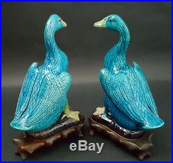 Pair Of Chinese Export Turquoise Porcelain Figural Ducks with Original Wood Stands