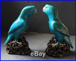 Pair Of Good Chinese Porcelain Figures Of Parrots 19th Century