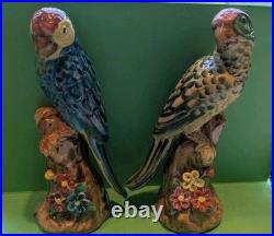 Pair Of Majolica Style Ceramic Birds