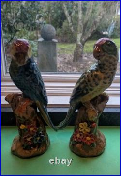 Pair Of Majolica Style Ceramic Birds
