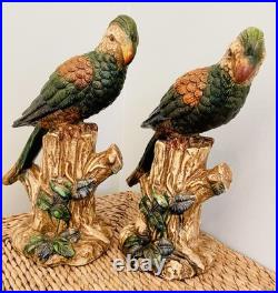 Pair Of Majolica Style Ceramic Parrots Birds Vintage