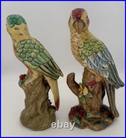 Pair Of Majolica Style Ceramic Parrots Colorful