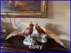 Pair Of Porcelain Highness Golden Pheasant Figurines By Dresden