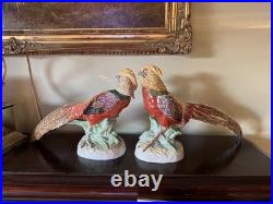Pair Of Porcelain Highness Golden Pheasant Figurines By Dresden