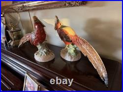 Pair Of Porcelain Highness Golden Pheasant Figurines By Dresden