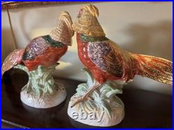 Pair Of Porcelain Highness Golden Pheasant Figurines By Dresden