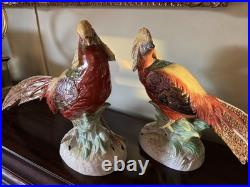 Pair Of Porcelain Highness Golden Pheasant Figurines By Dresden