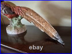 Pair Of Porcelain Highness Golden Pheasant Figurines By Dresden