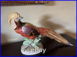 Pair Of Porcelain Highness Golden Pheasant Figurines By Dresden