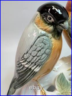 Pair Vintage German Karl Ens Porcelain Figurine Group Bullfinch Bird Perched