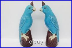Pair of Blue and Purple Parrots in Chinese Porcelain XX marked 21 cm