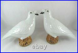 Pair of Chinese Export Porcelain Nasal Tuft Pigeons Bird Figurines