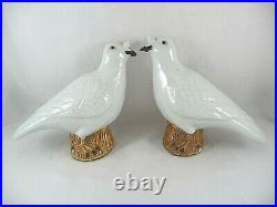 Pair of Chinese Export Porcelain Nasal Tuft Pigeons Bird Figurines