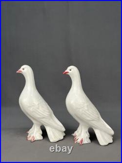 Pair of Italian Pottery Hand-Painted Fancy Pigeons Love Birds Doves