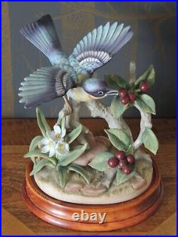 Parula Warbler Akita Porcelain Sculpture by Kowa for Vaga International