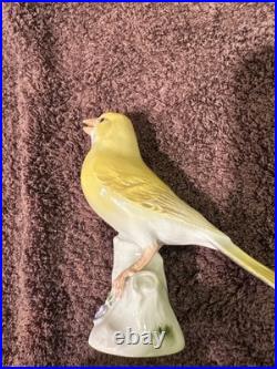Porcelain Bird Figurines Small, White, Porcelain With A Flower, Yellow Old