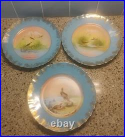 Porcelain Bird Plates Antique 1920s Set of 3 LimogesSigned B. Albert Blue Gold