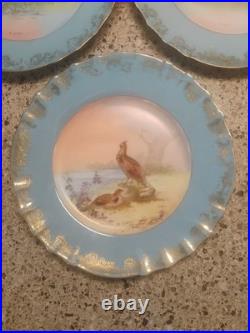 Porcelain Bird Plates Antique 1920s Set of 3 LimogesSigned B. Albert Blue Gold