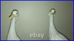 Porcelain Heron Pair, Made In Italy