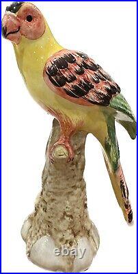 Porcelain bird Chelsea House ITALY Chinoiserie Parrot Parakeet Bird Paradise 8