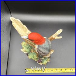 Porcelain bird figurine depicting a red-headed bird on branch with grape clusters