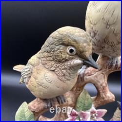 Porcelain figurine titled'Three Birds on Branch withApple Blossoms'Andrea by Sadek