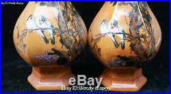 QianLong Year Color Porcelain Flower Branches Magpie Bird Vase Bottle Jar Pair