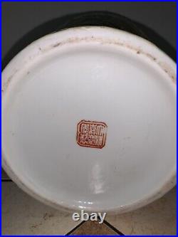 RARE! 14.5 in Antique Qing Dynasty Jiaqing Plum Vase Lotus Pond Bird Fish Crane