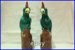 RARE BIG Pair of Parrots 32 cm Eggs and Spinach in Chinese Porcelain XX