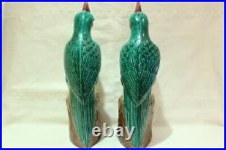RARE BIG Pair of Parrots 32 cm Eggs and Spinach in Chinese Porcelain XX