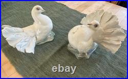 ROSENTHAL Hand-painted Pair of Porcelain Doves/Figurines Perfect Condition
