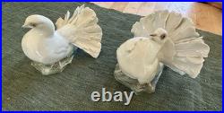 ROSENTHAL Hand-painted Pair of Porcelain Doves/Figurines Perfect Condition
