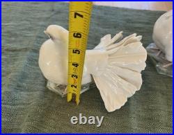 ROSENTHAL Hand-painted Pair of Porcelain Doves/Figurines Perfect Condition
