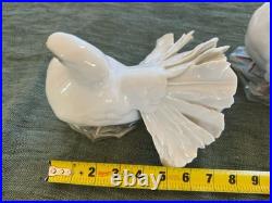 ROSENTHAL Hand-painted Pair of Porcelain Doves/Figurines Perfect Condition ROSENTHAL Hand-painted Pair of Porcelain Doves/Figurines Perfect Condition