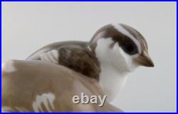 Rare Bing & Grøndahl porcelain figure. Two birds. Model number 1778