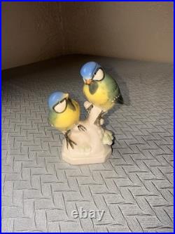Rare Blue Tits Birds Volkstedt Porcelain Bird Figurines