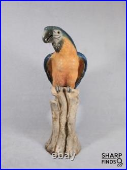 Rare! Cacciapuoti Signed Italian Parrot Sculpture Limited Edition 9/500 17.25