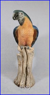 Rare! Cacciapuoti Signed Italian Parrot Sculpture Limited Edition 9/500 17.25