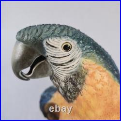 Rare! Cacciapuoti Signed Italian Parrot Sculpture Limited Edition 9/500 17.25
