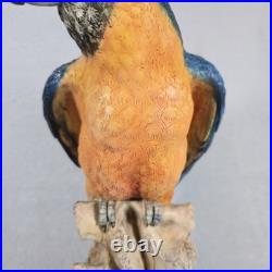 Rare! Cacciapuoti Signed Italian Parrot Sculpture Limited Edition 9/500 17.25
