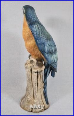 Rare! Cacciapuoti Signed Italian Parrot Sculpture Limited Edition 9/500 17.25